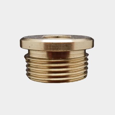 OEM Custom Non Standard Copper Screw Plugs Nut CNC Turning Lathe Precision Machining Parts Servizio